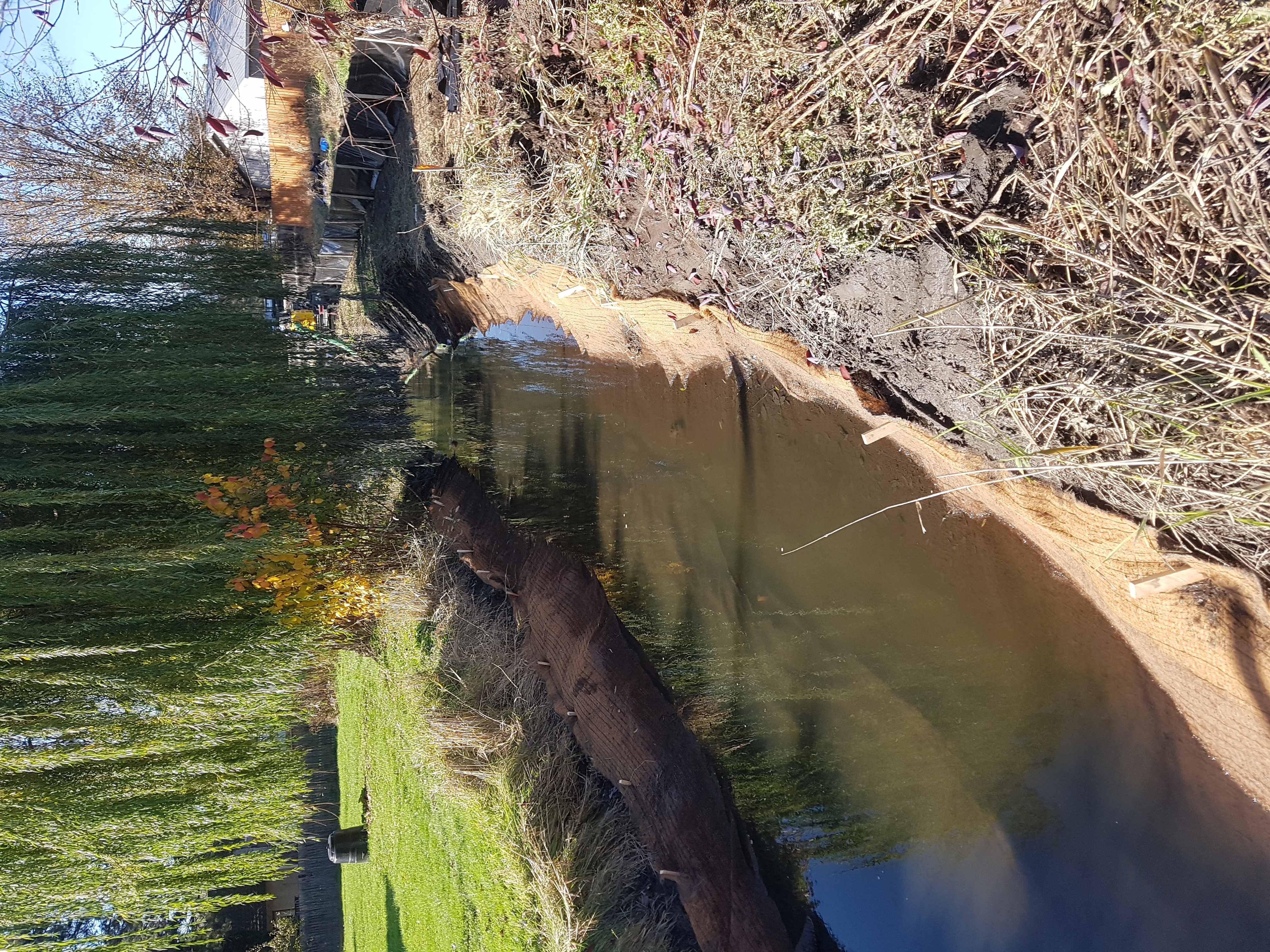 Armstrong BC Creek Rehabilitation with coco mat install