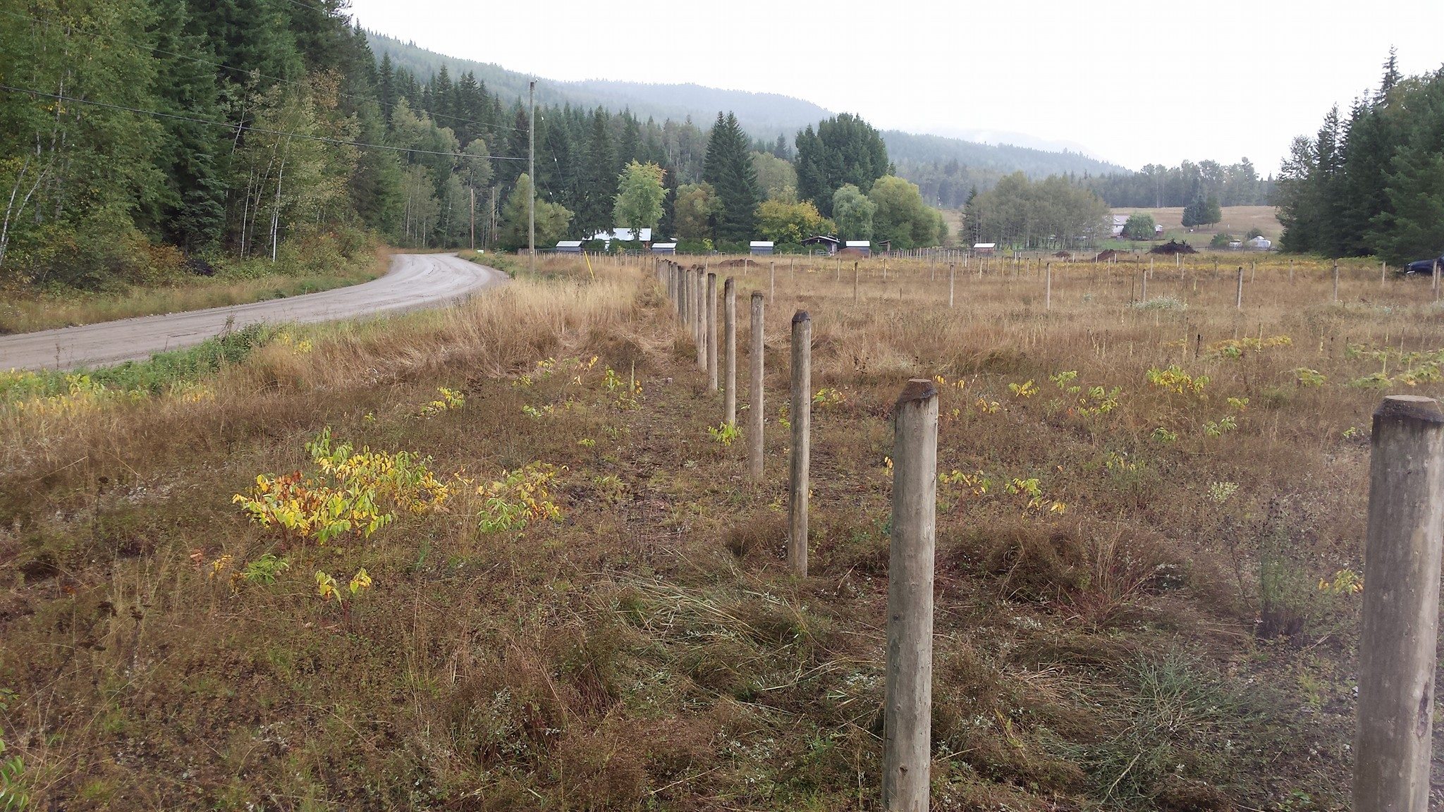 Fencing, and post pounding- Kamloops - Barriere - fence line